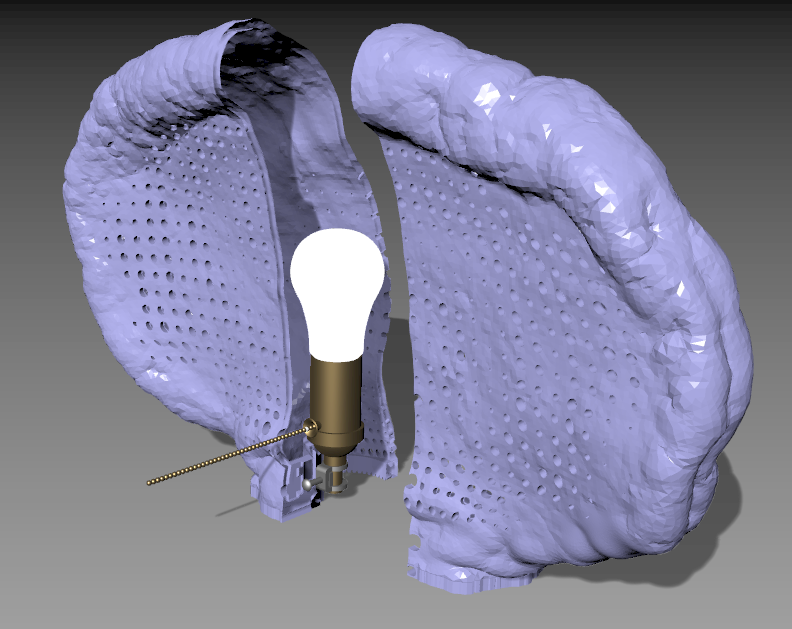 Polypore Lamp
